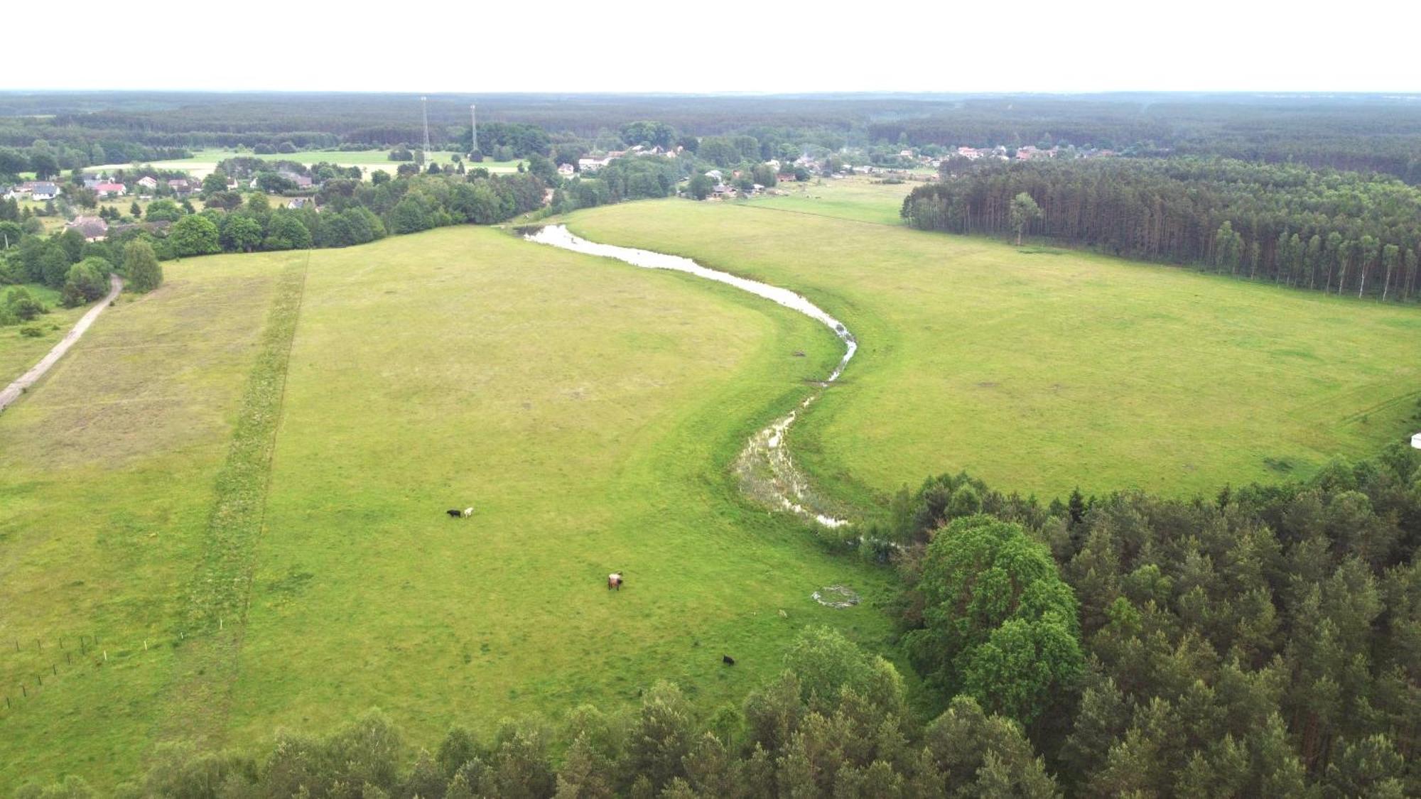 Mimi Boutique Farm Stay & Cuisine Niekursko Eksteriør bilde